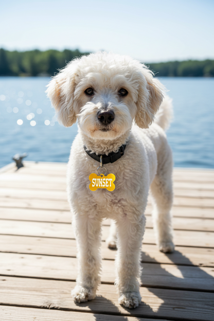 Pet Tags
