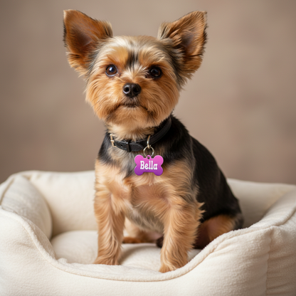 Pet Tags-B